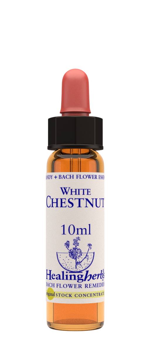 Healing Herbs Ltd White Chestnut 10ml - Dennis the Chemist