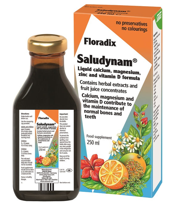 Salus Floradix Saludynam 250ml - Dennis the Chemist