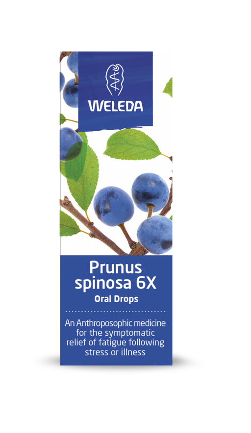 Weleda Prunus Spinosa 6X Oral Drops 25ml - Dennis the Chemist