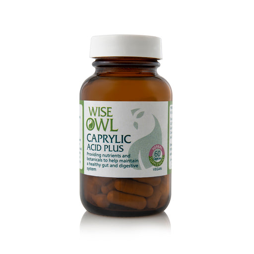 Wise Owl Caprylic Acid Plus 60's - Dennis the Chemist